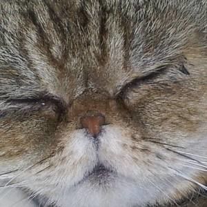 Meet your Posher, Wendy